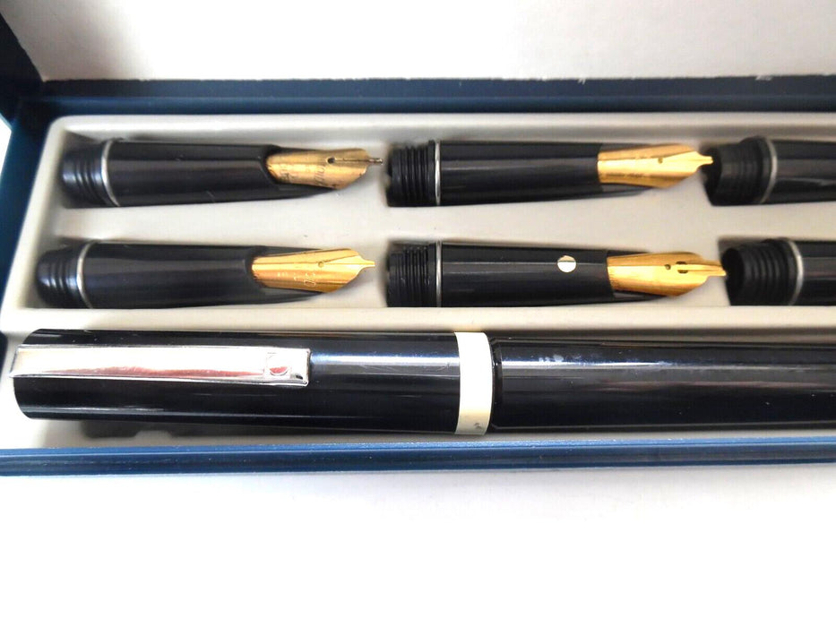 Fountain pen set with 6 nibs